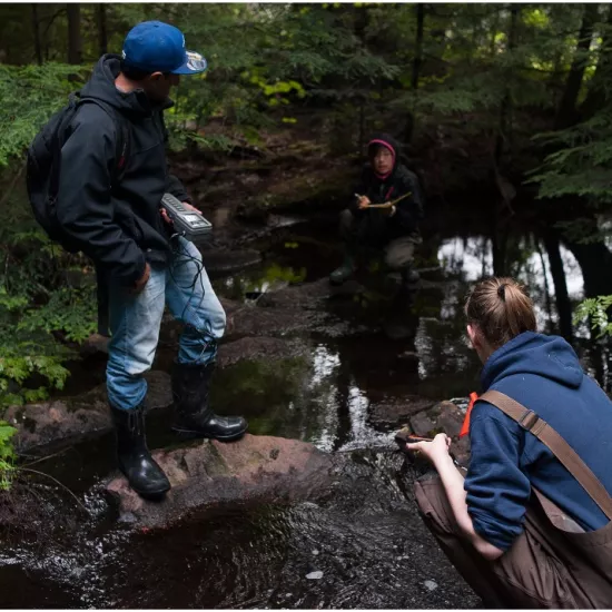 Field Courses